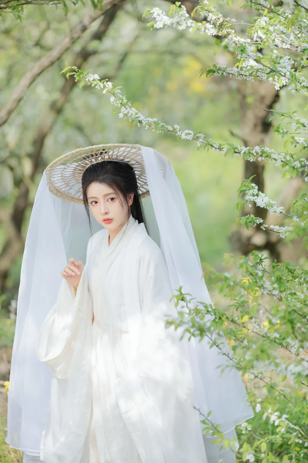 青绿花笺3