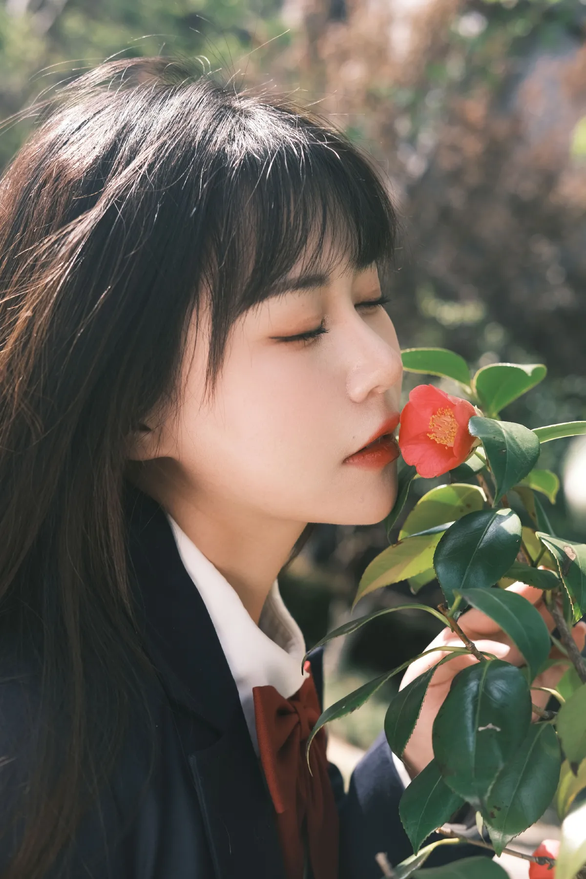 camelia