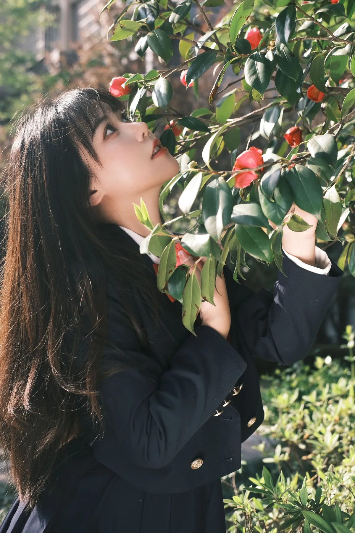LLL_Lia__鹤鸣之应-《camelia》美图作品图片4