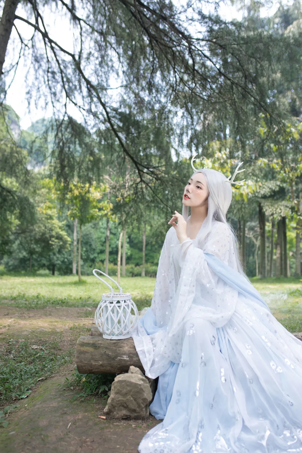鹿1