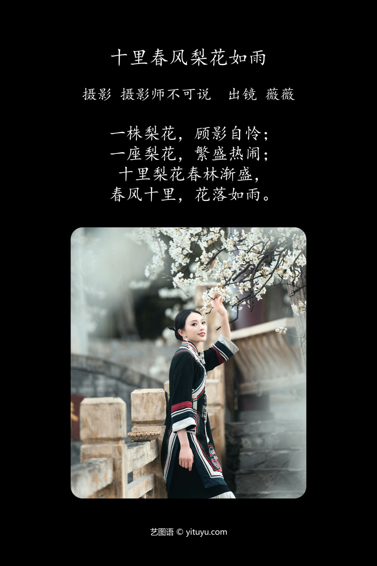 摄影师不可说_薇薇《十里春风梨花如雨》美图作品图片2