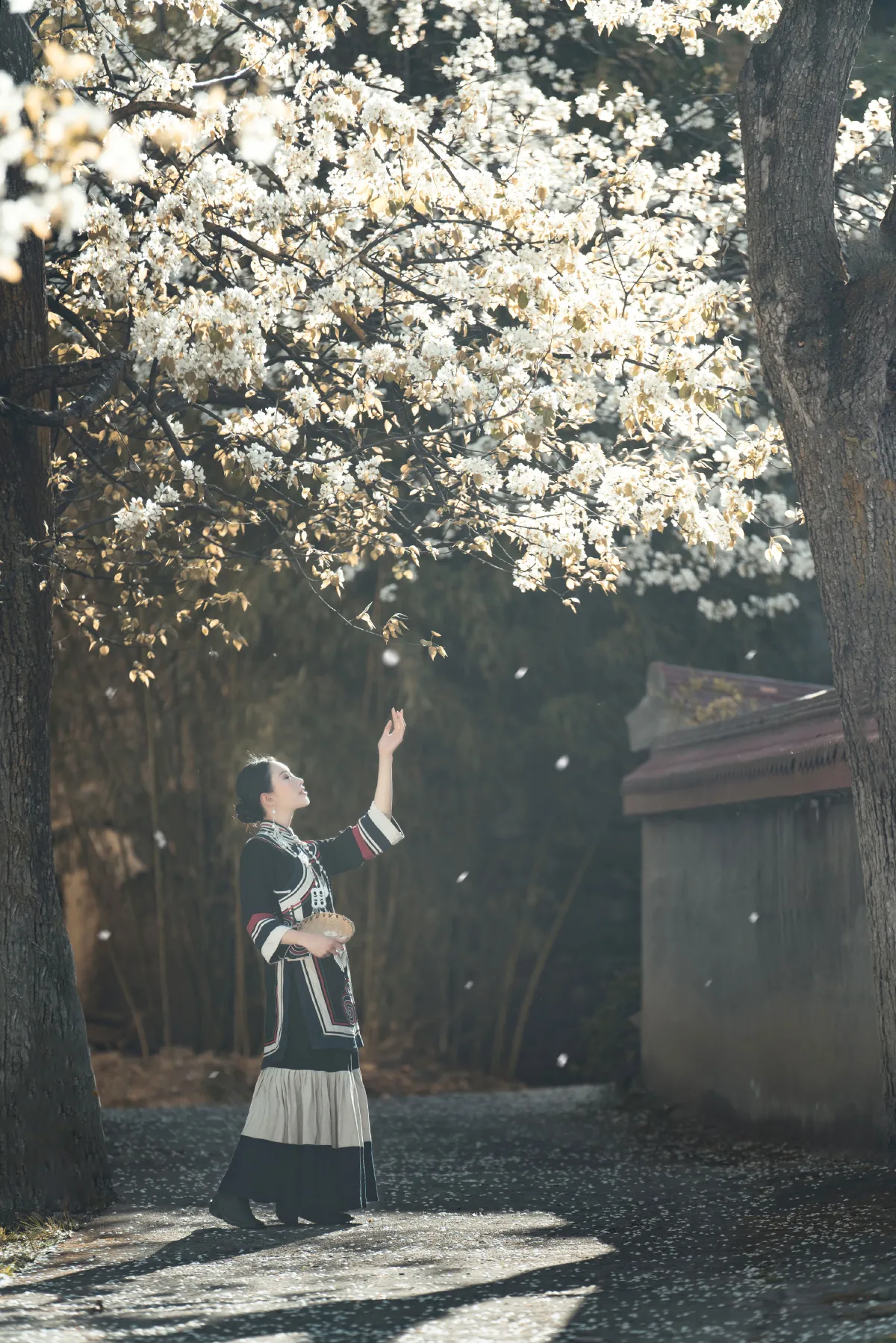 十里春风梨花如雨