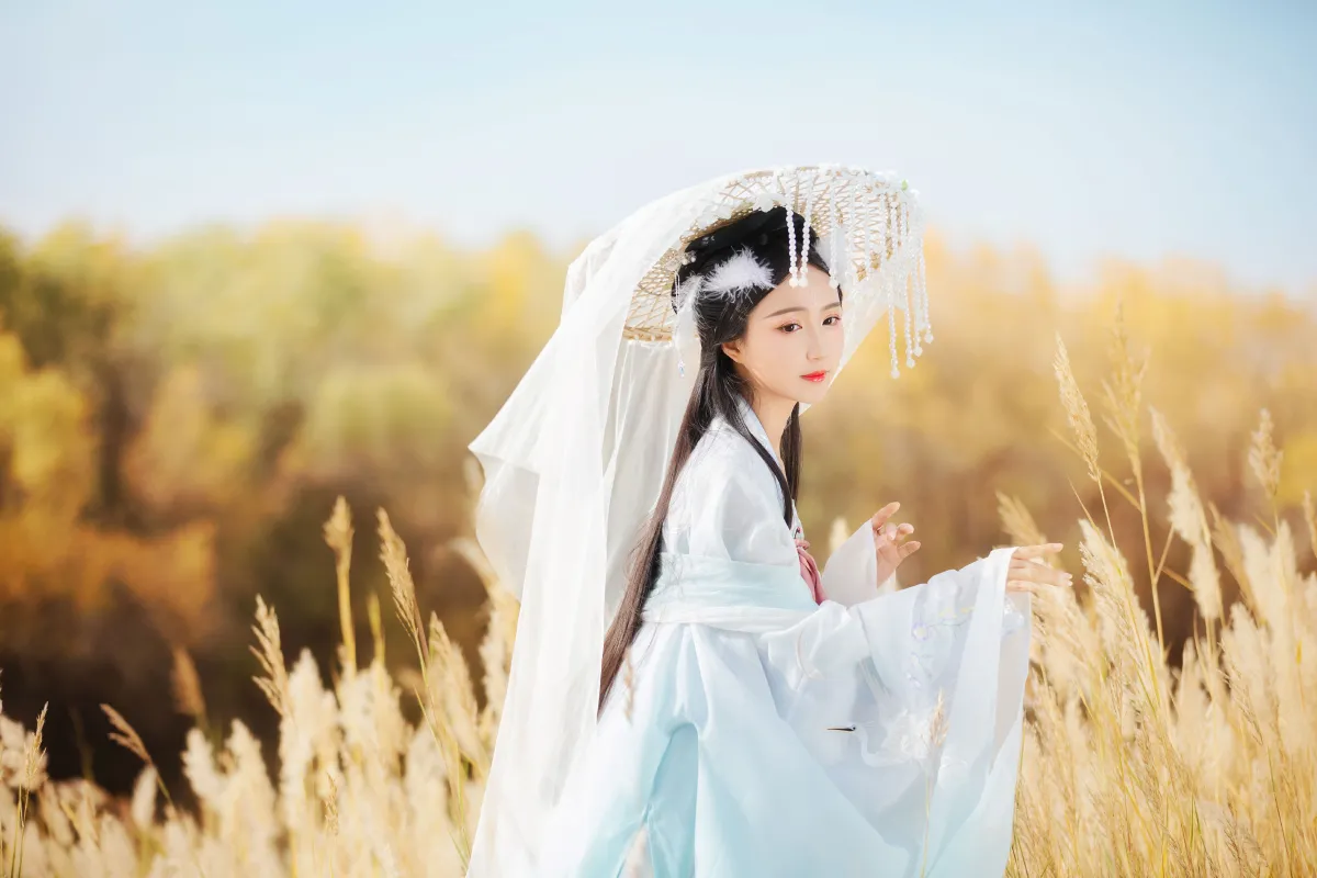 化鹤归