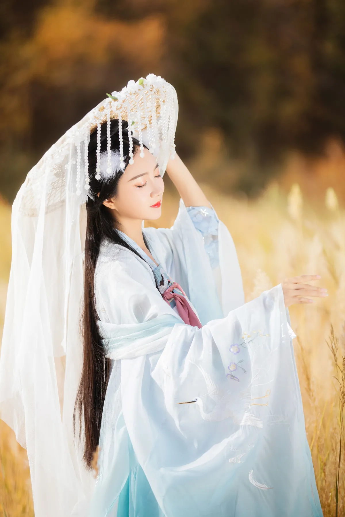 化鹤归3