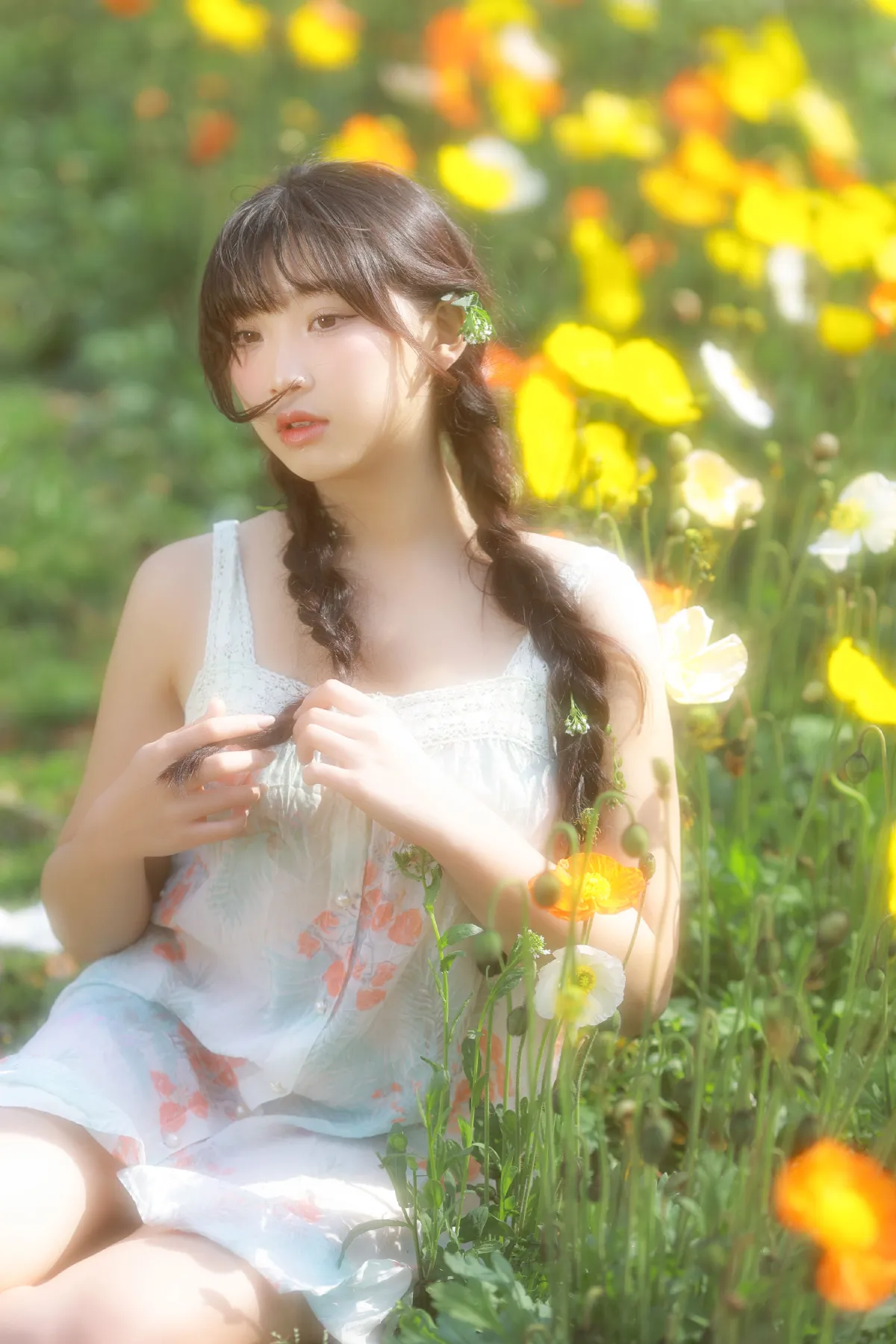 虞美人开满的山坡