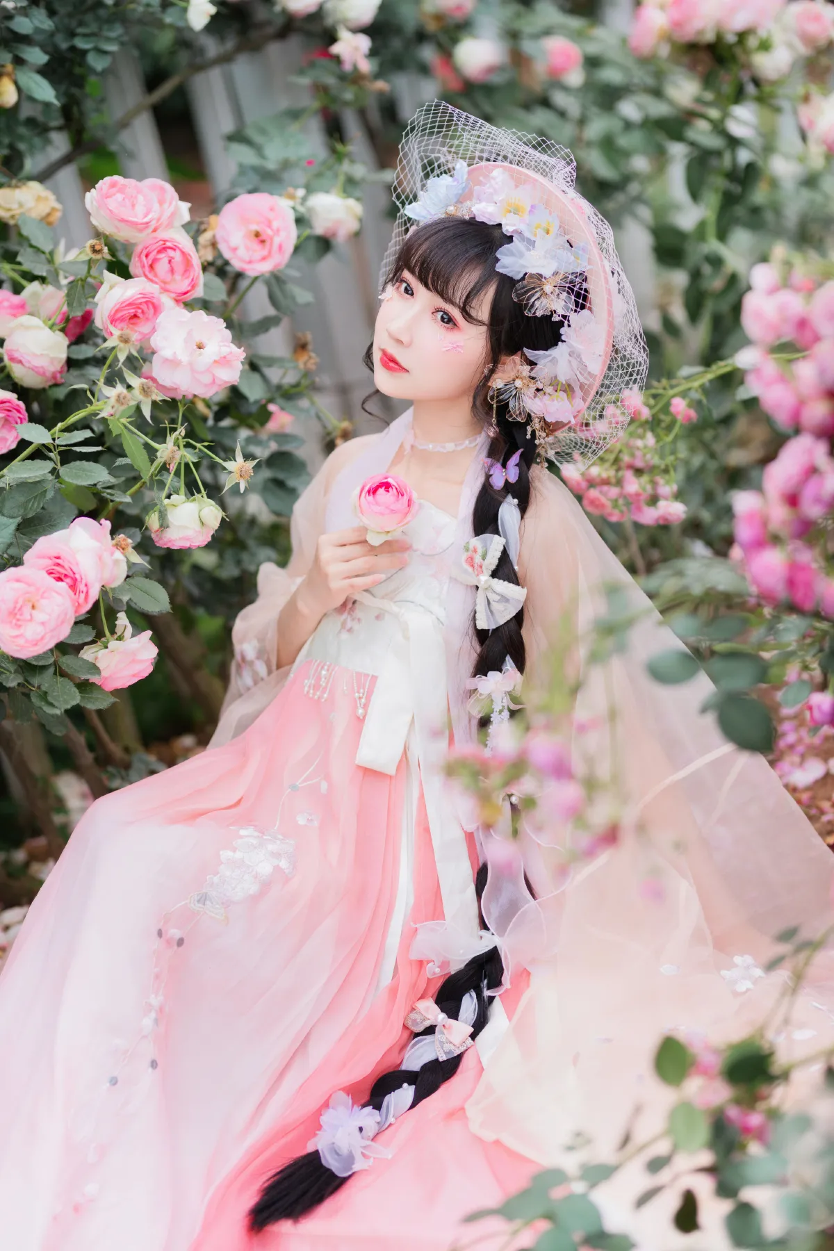 子小浔_绮罗生的小苏苏《玫瑰少女 》美图作品图片5
