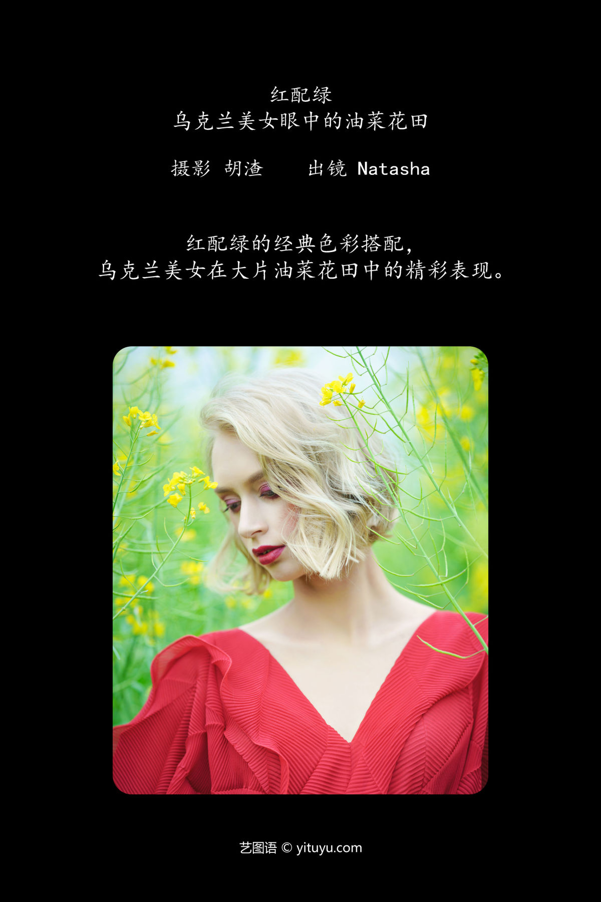 胡渣_Natasha《红配绿，乌克兰美女眼中的油菜花田》美图作品图片2