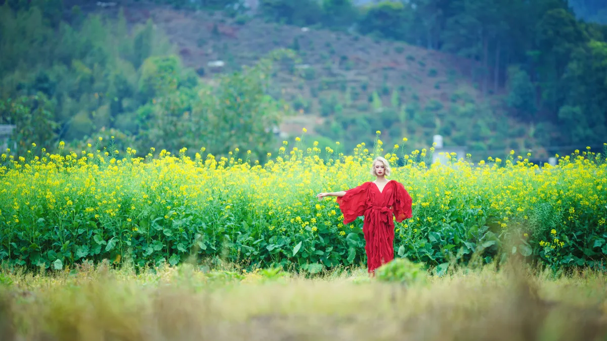 红配绿，乌克兰美女眼中的油菜花田1