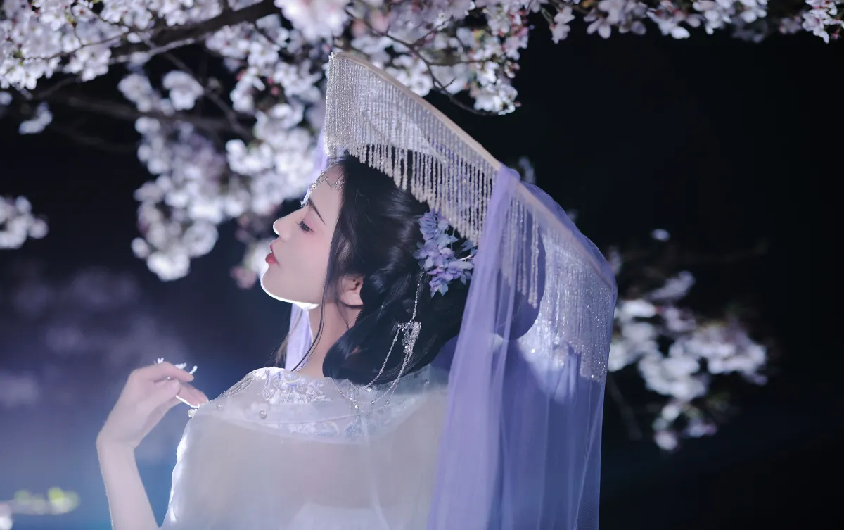 林下漏月光，疏疏如残雪3
