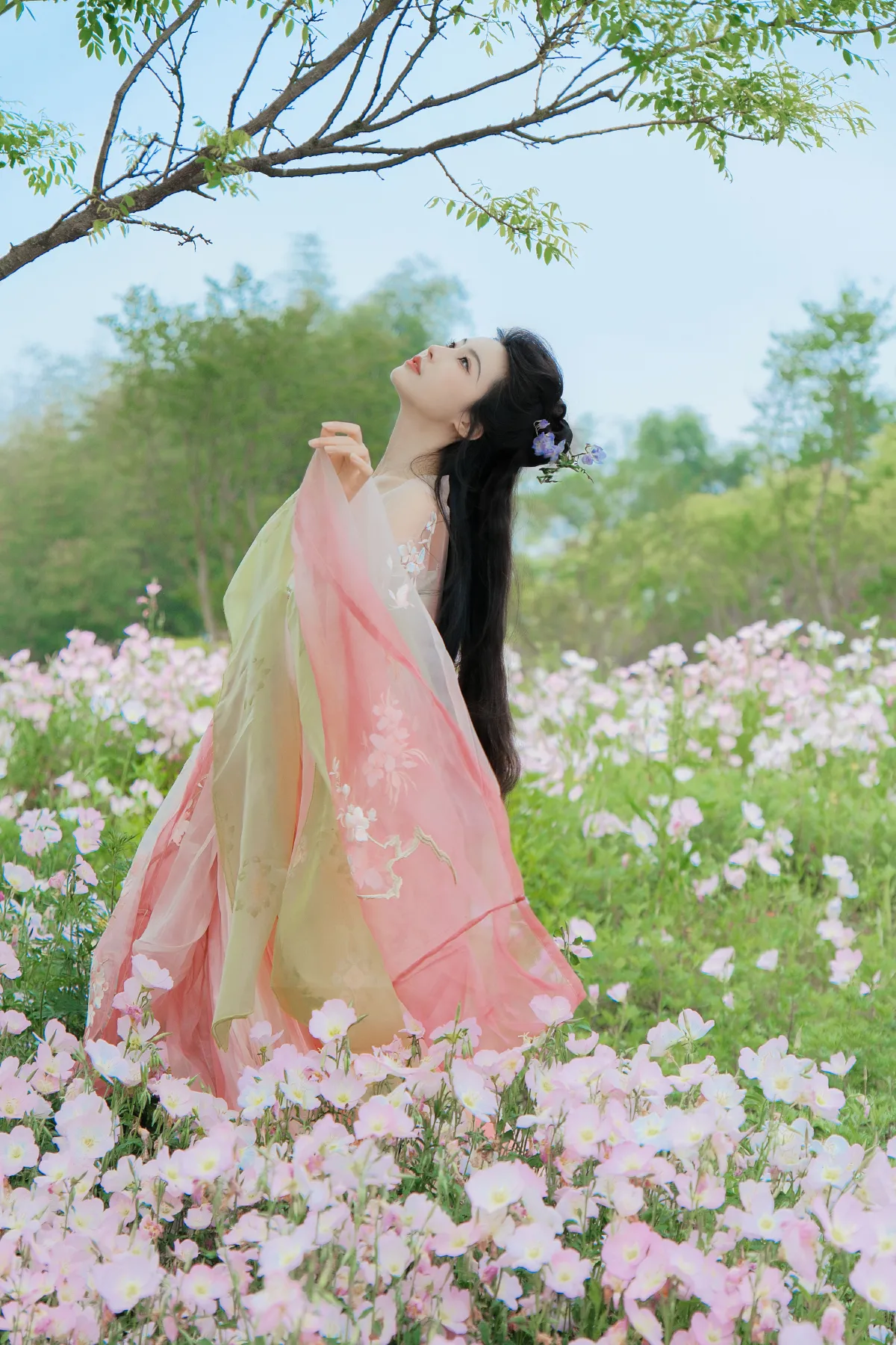 月见花神3