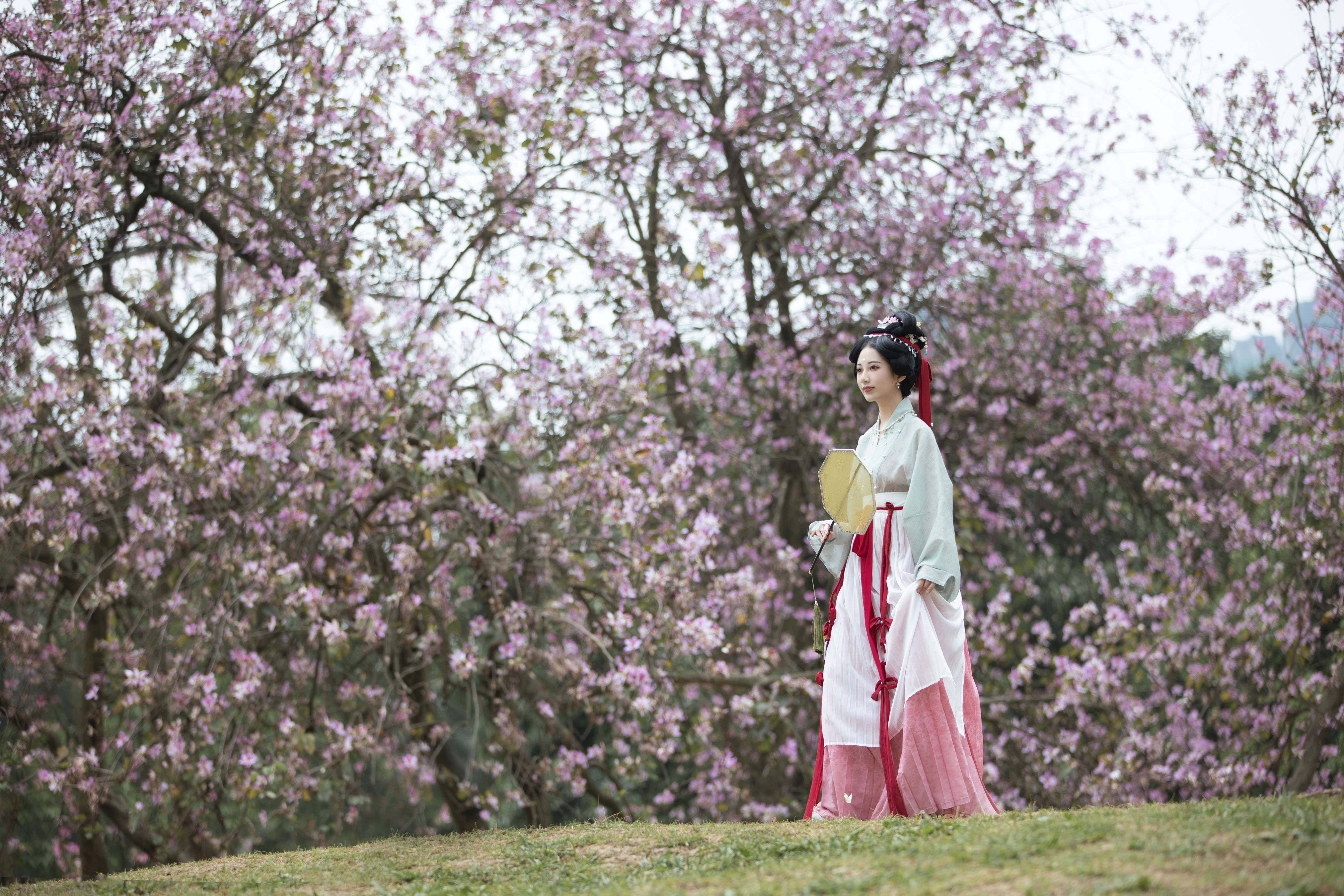 落花情