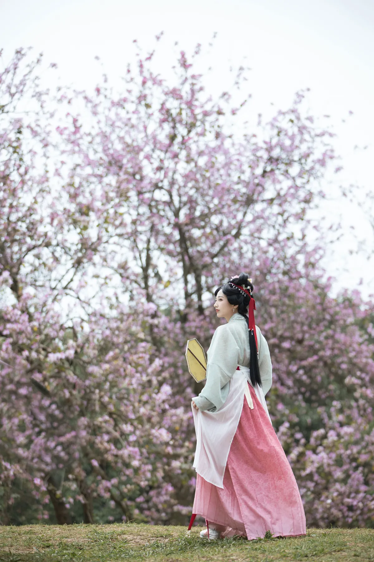 落花情