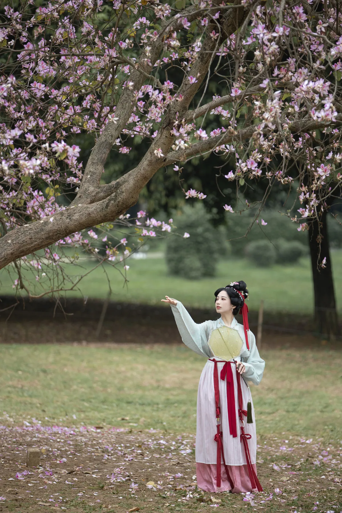 落花情