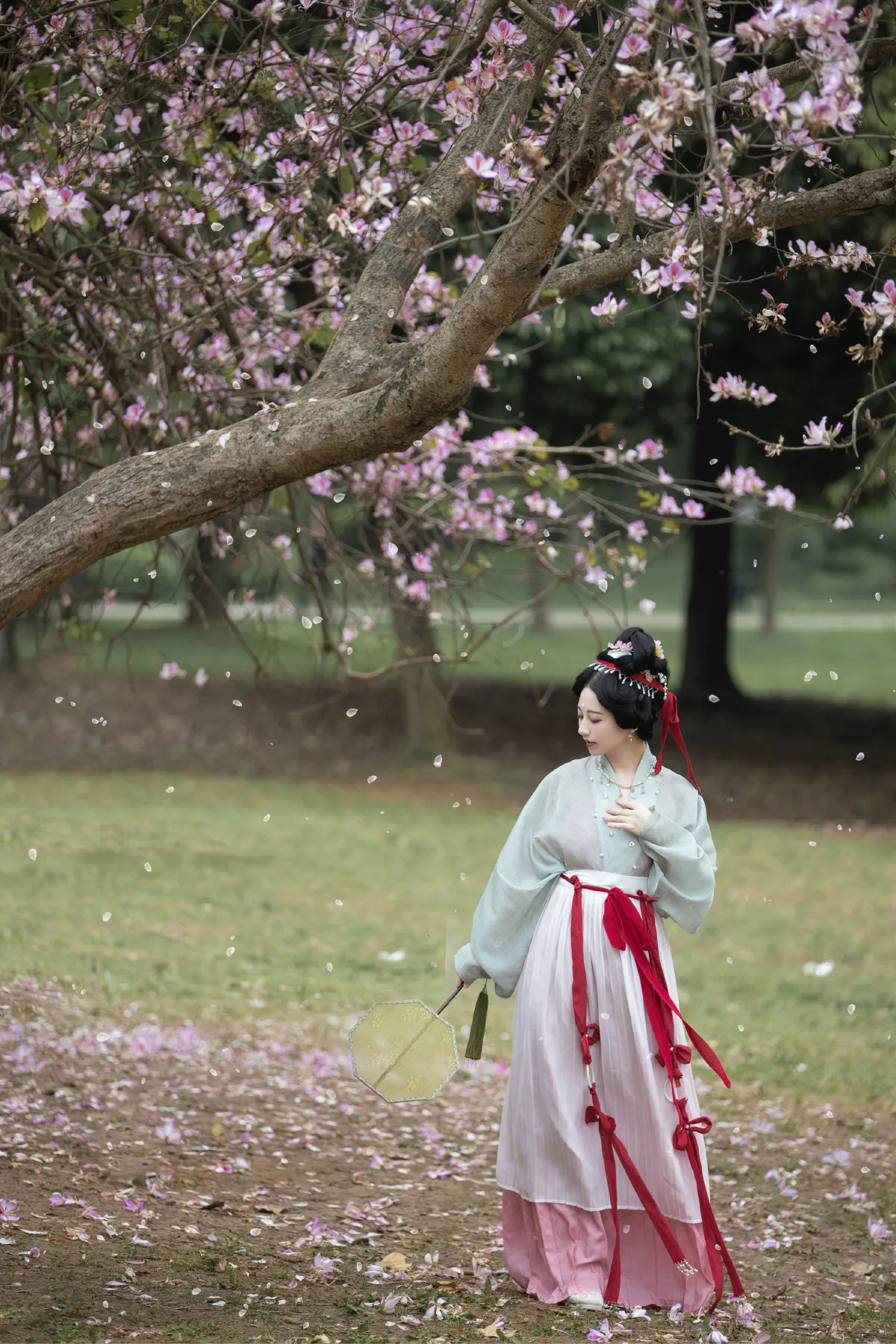 落花情