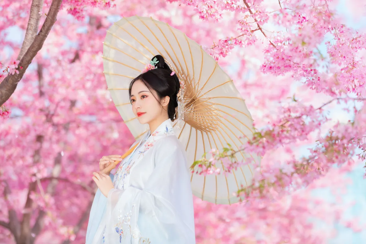 春樱2