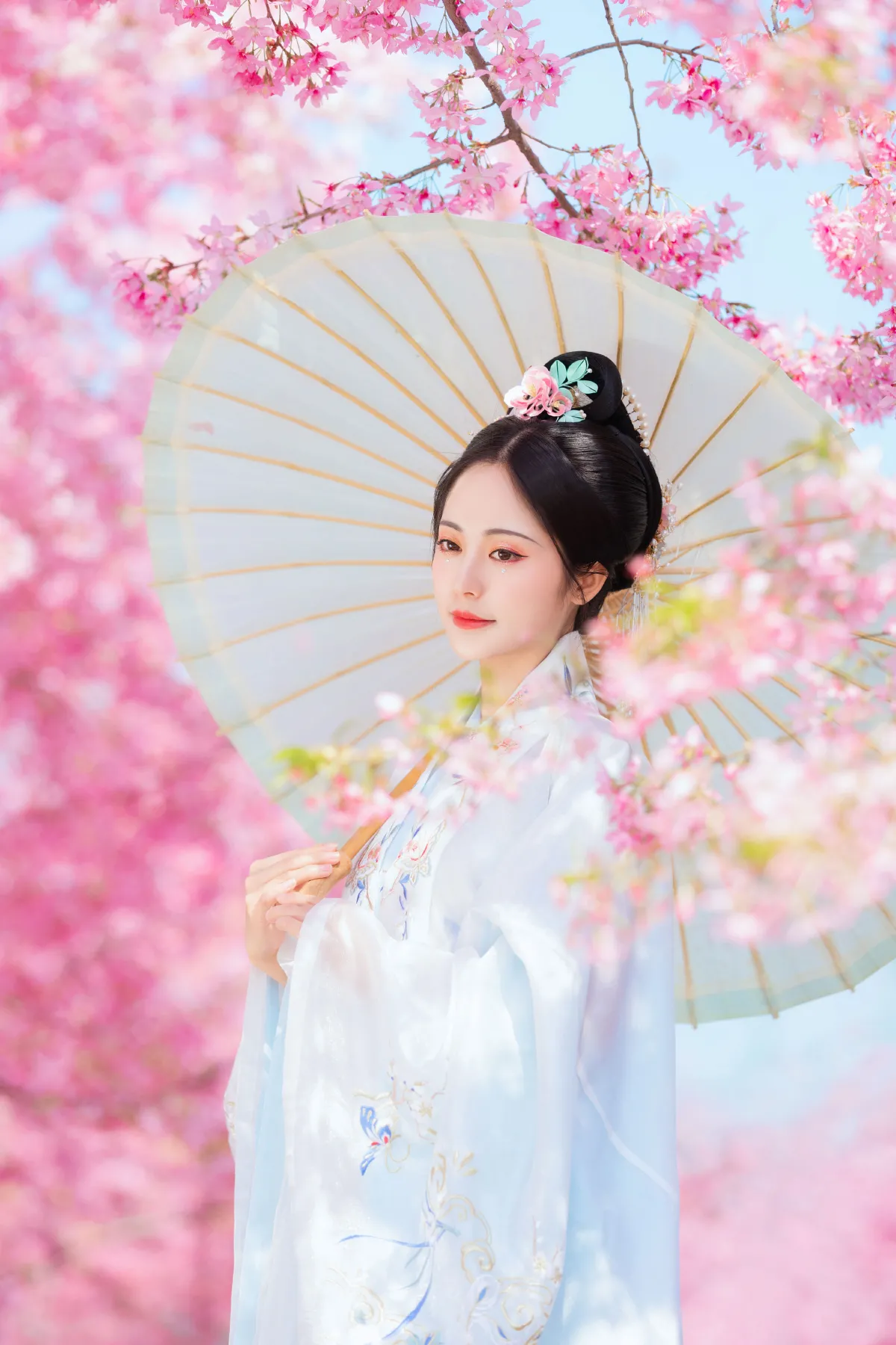 春樱