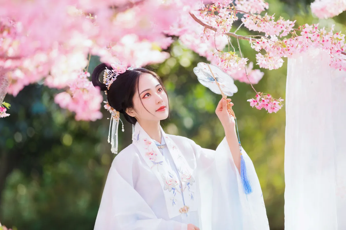 春樱3