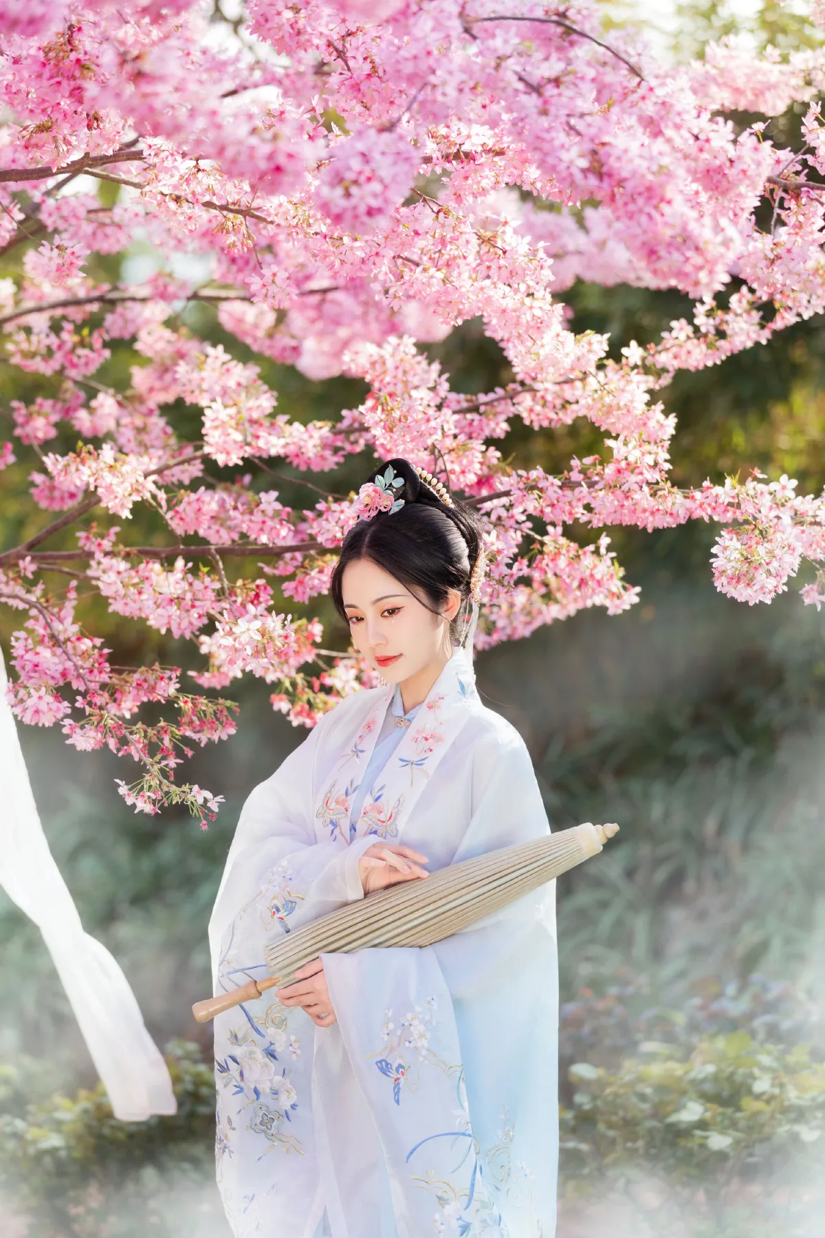 春樱