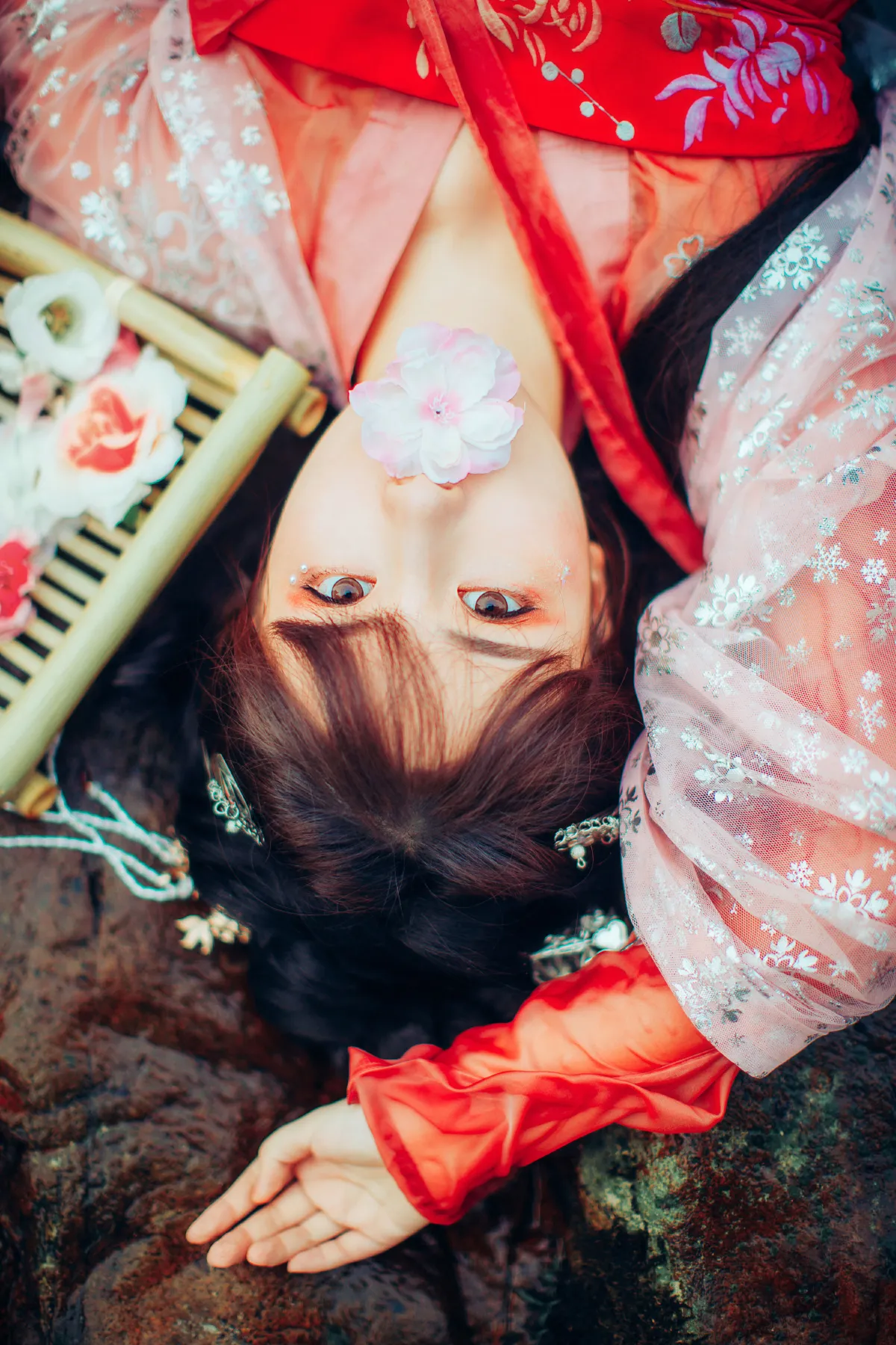 锦鲤