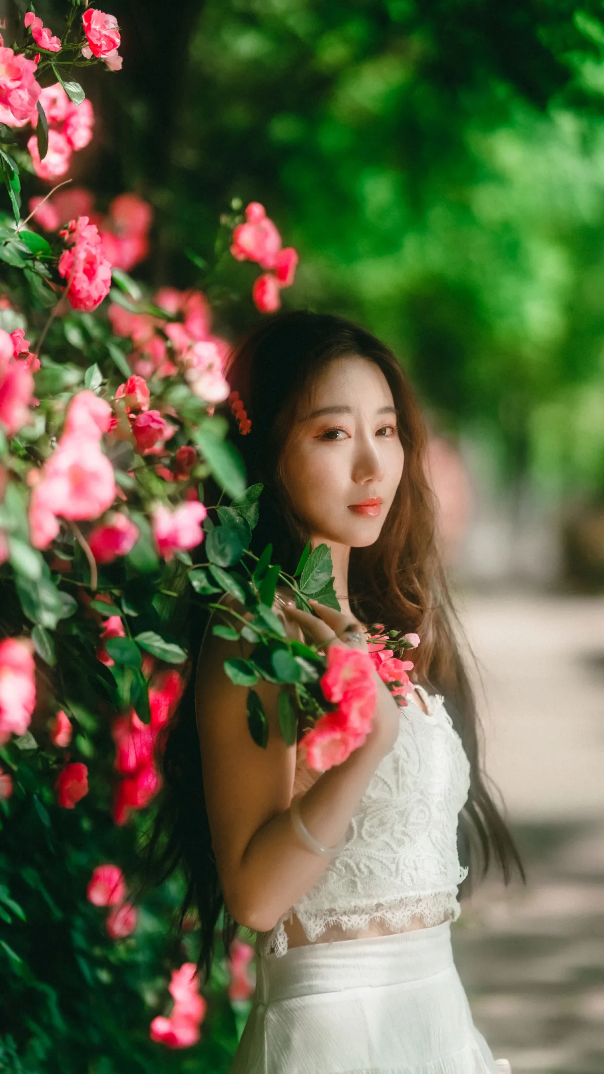蔷薇花下