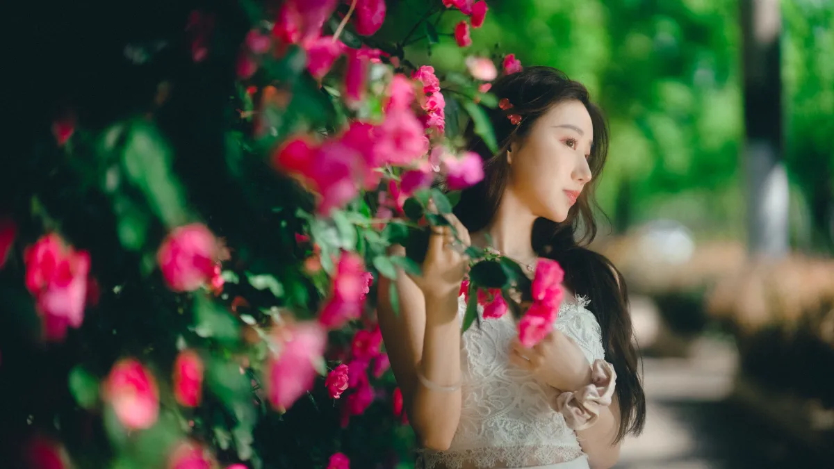 蔷薇花下