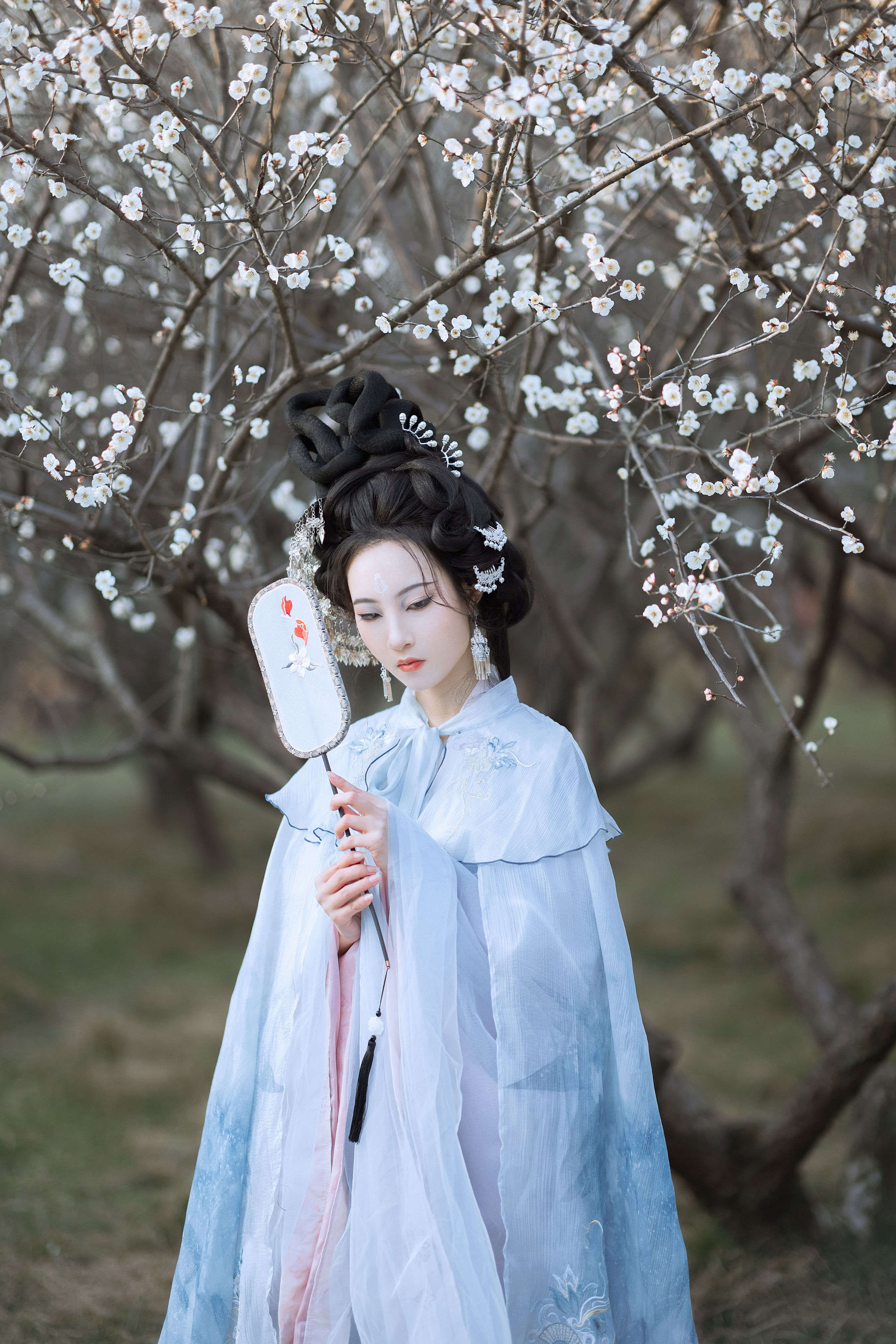 傲雪梅
