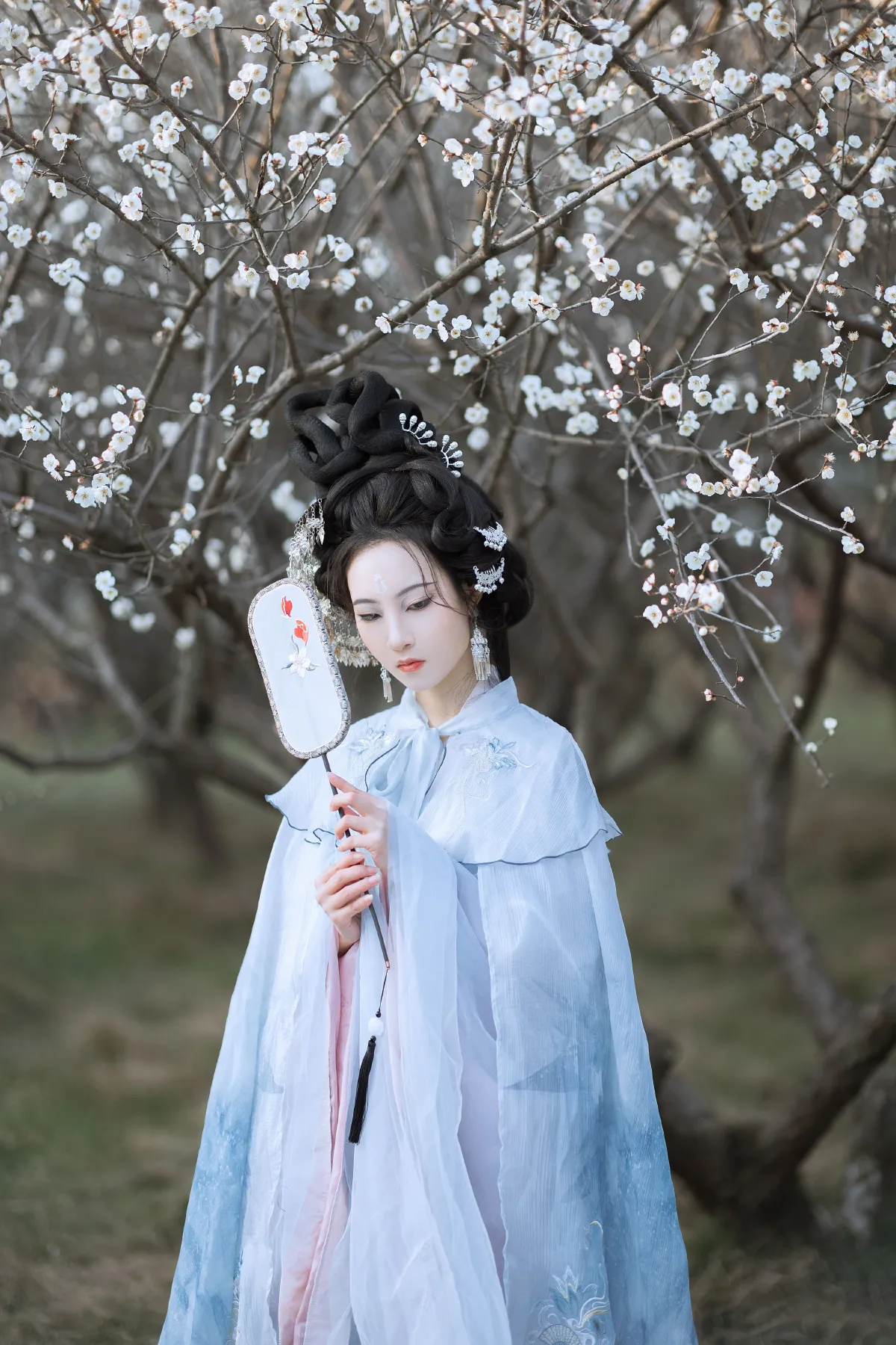 傲雪梅1
