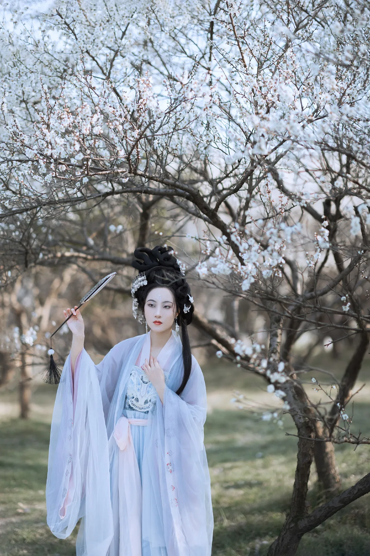 傲雪梅