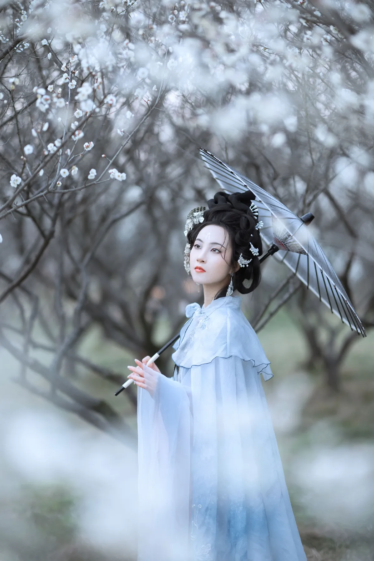 傲雪梅