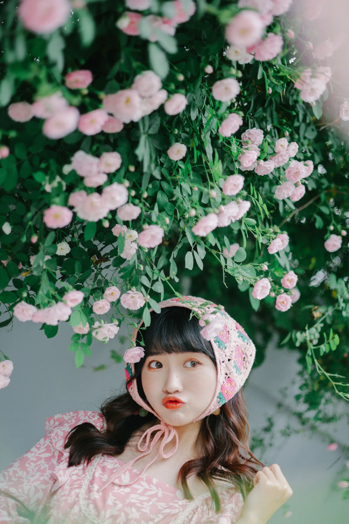 蔷薇花开的浪漫