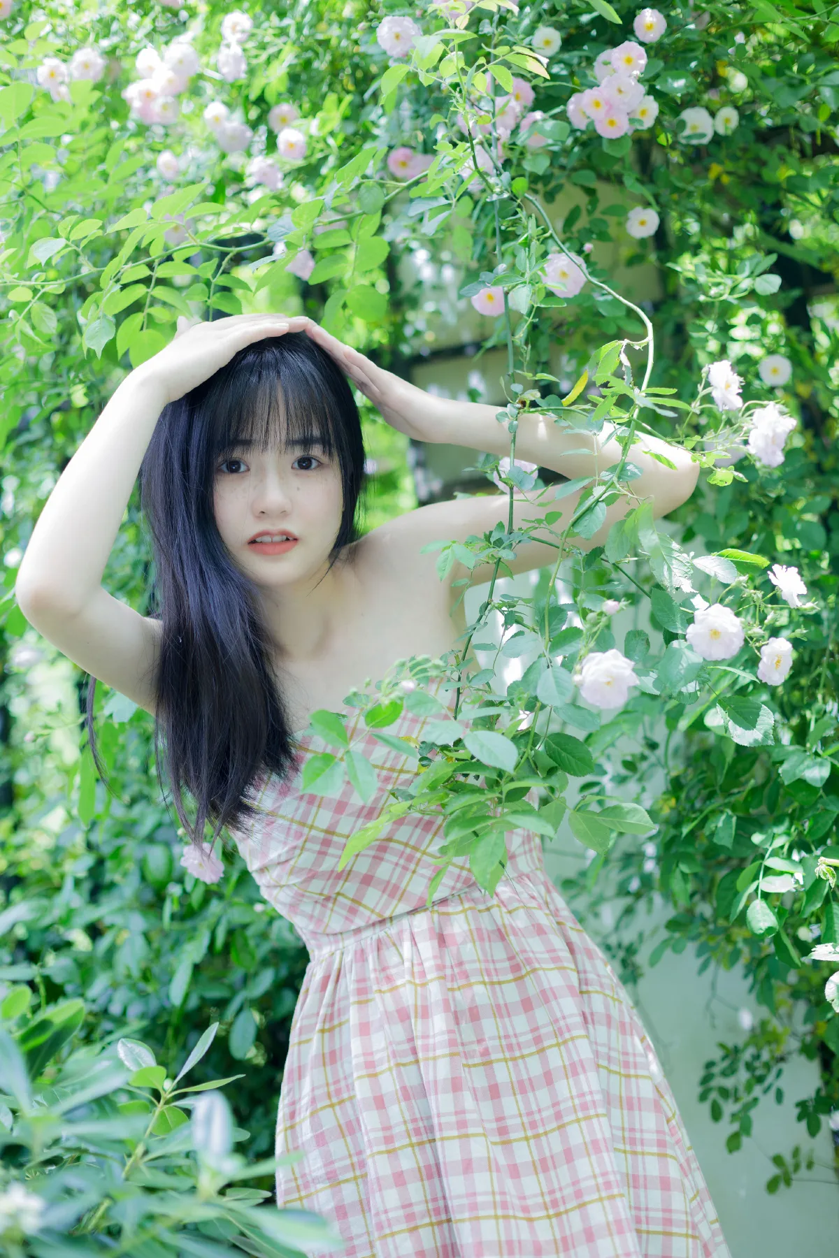 光影谱诗3