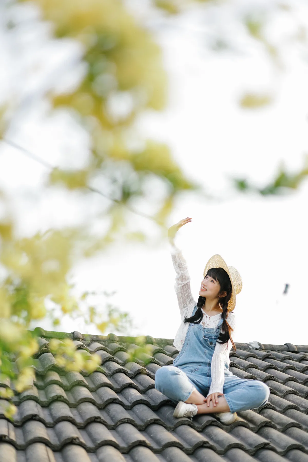 春日来信1