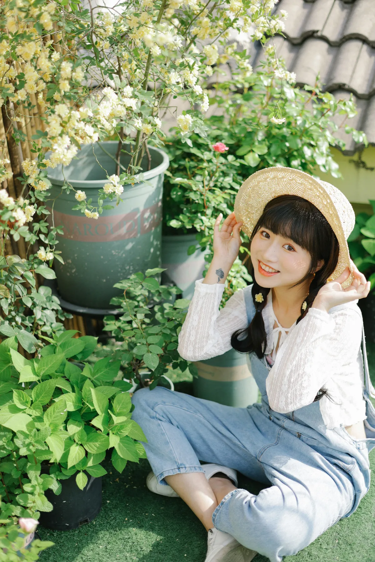 春日来信5