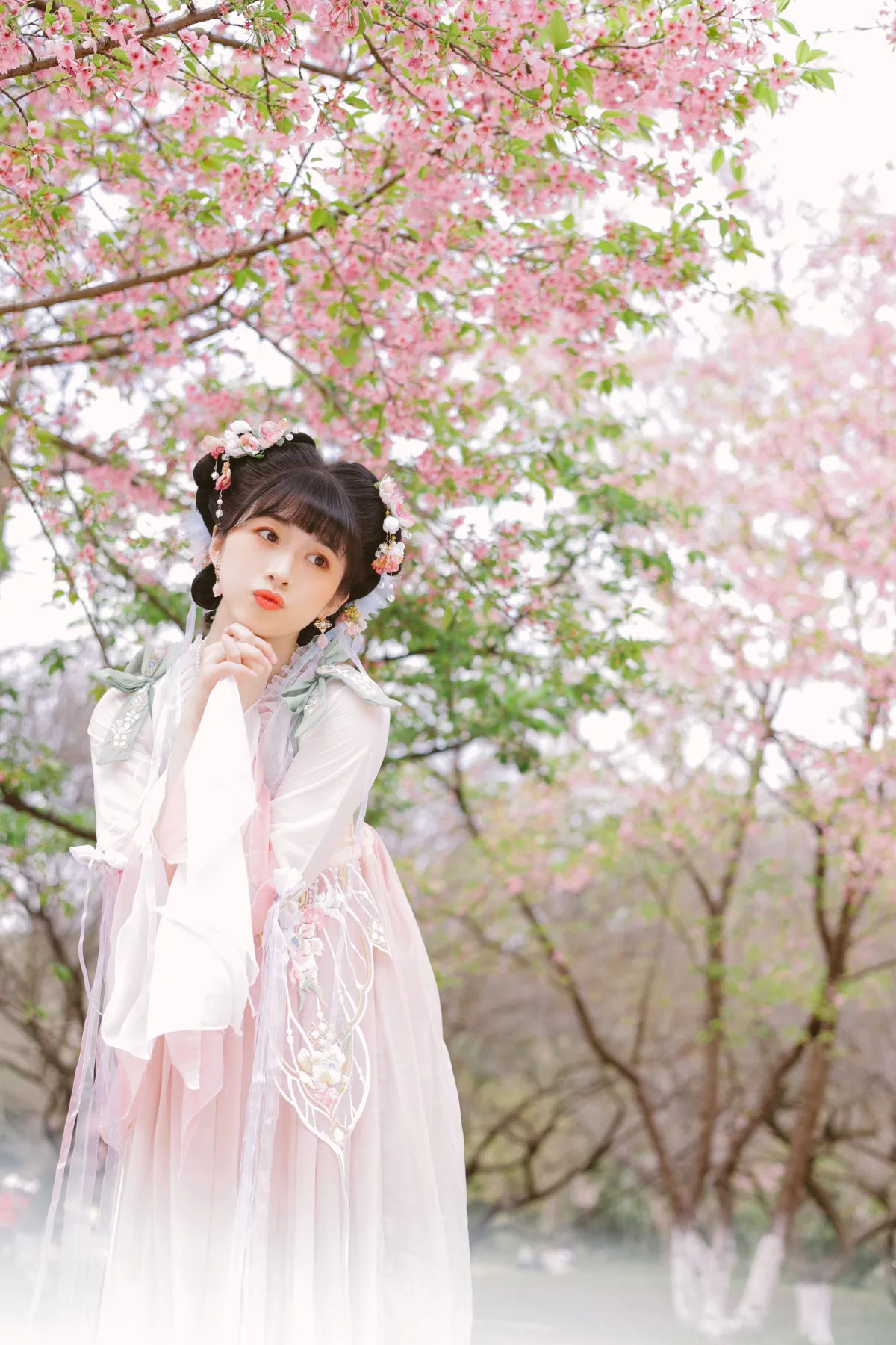少女与樱花1