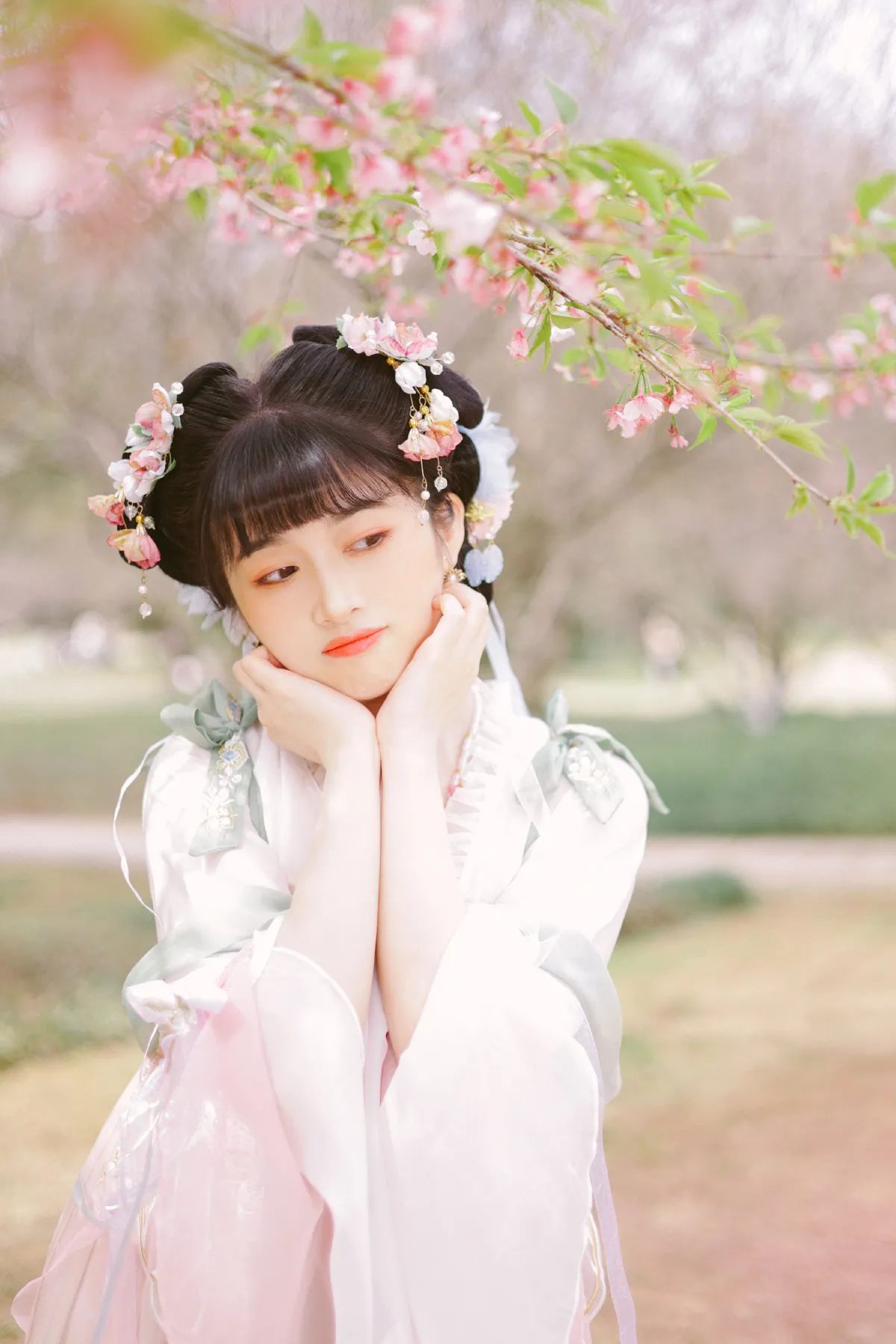 少女与樱花