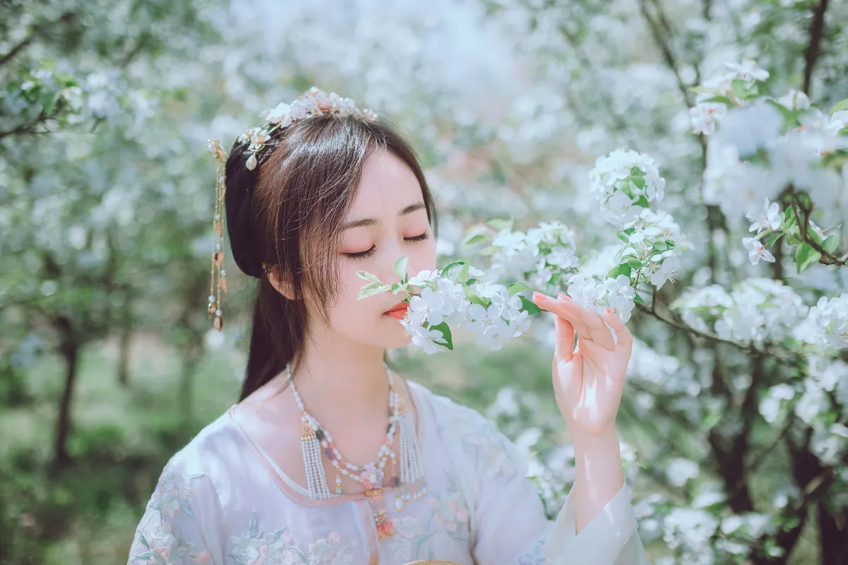 梨花香1