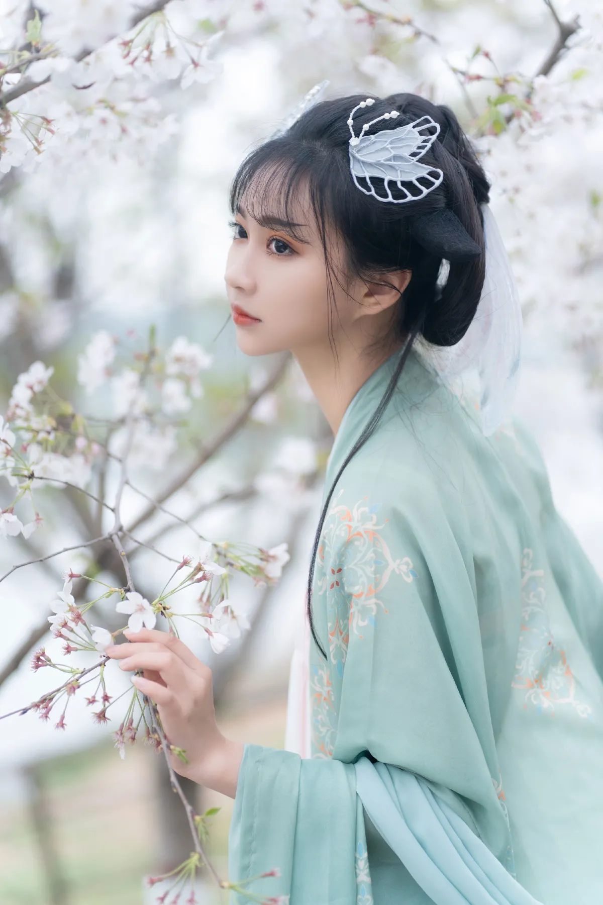 云孤月