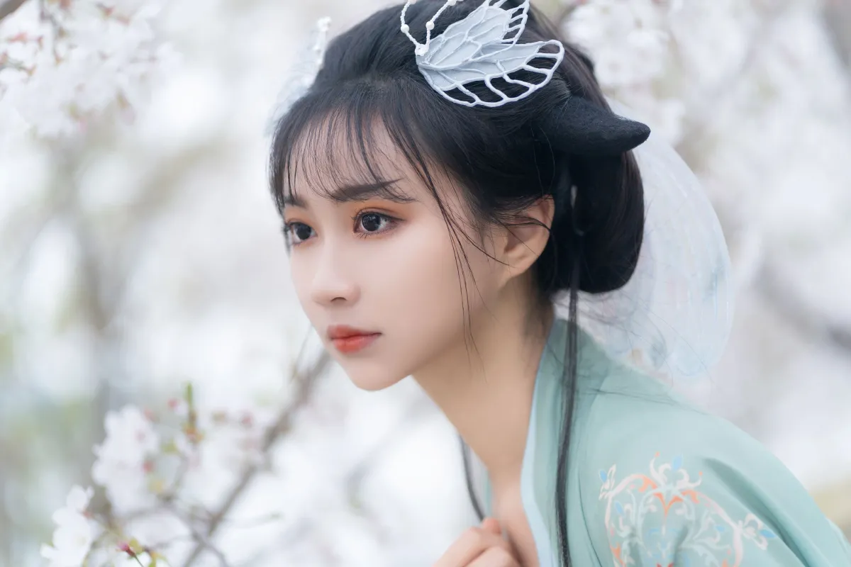 云孤月