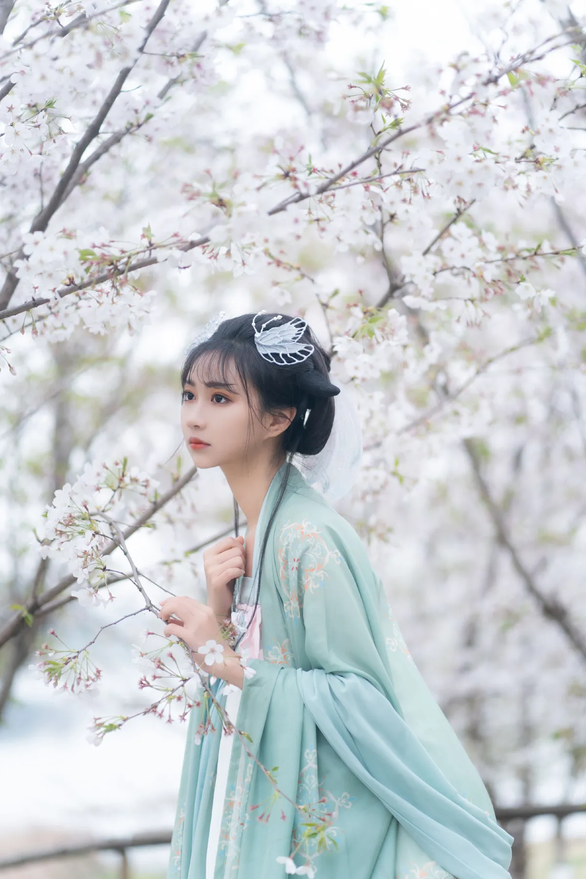 云孤月3