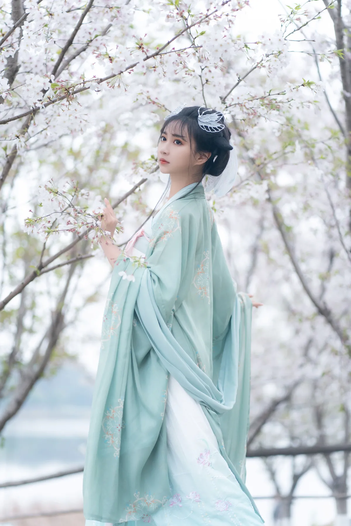 云孤月