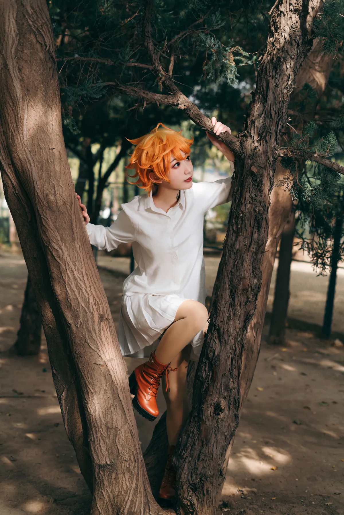 艾玛5