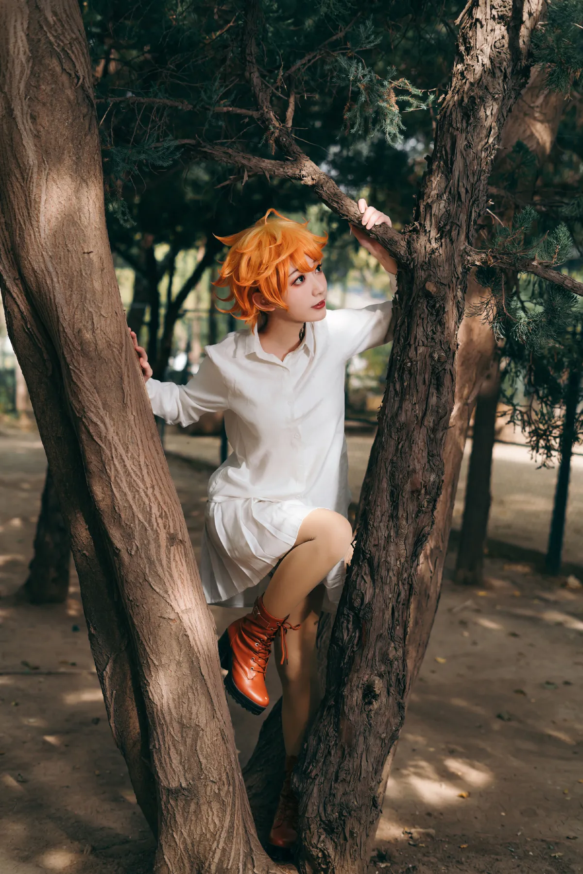 太特斯_桃墨公子x《艾玛》美图作品图片5