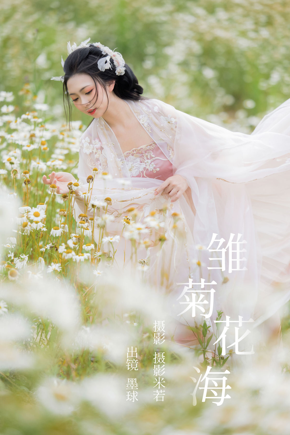 摄影米若_阡墨红尘《雏菊花海》美图作品图片1