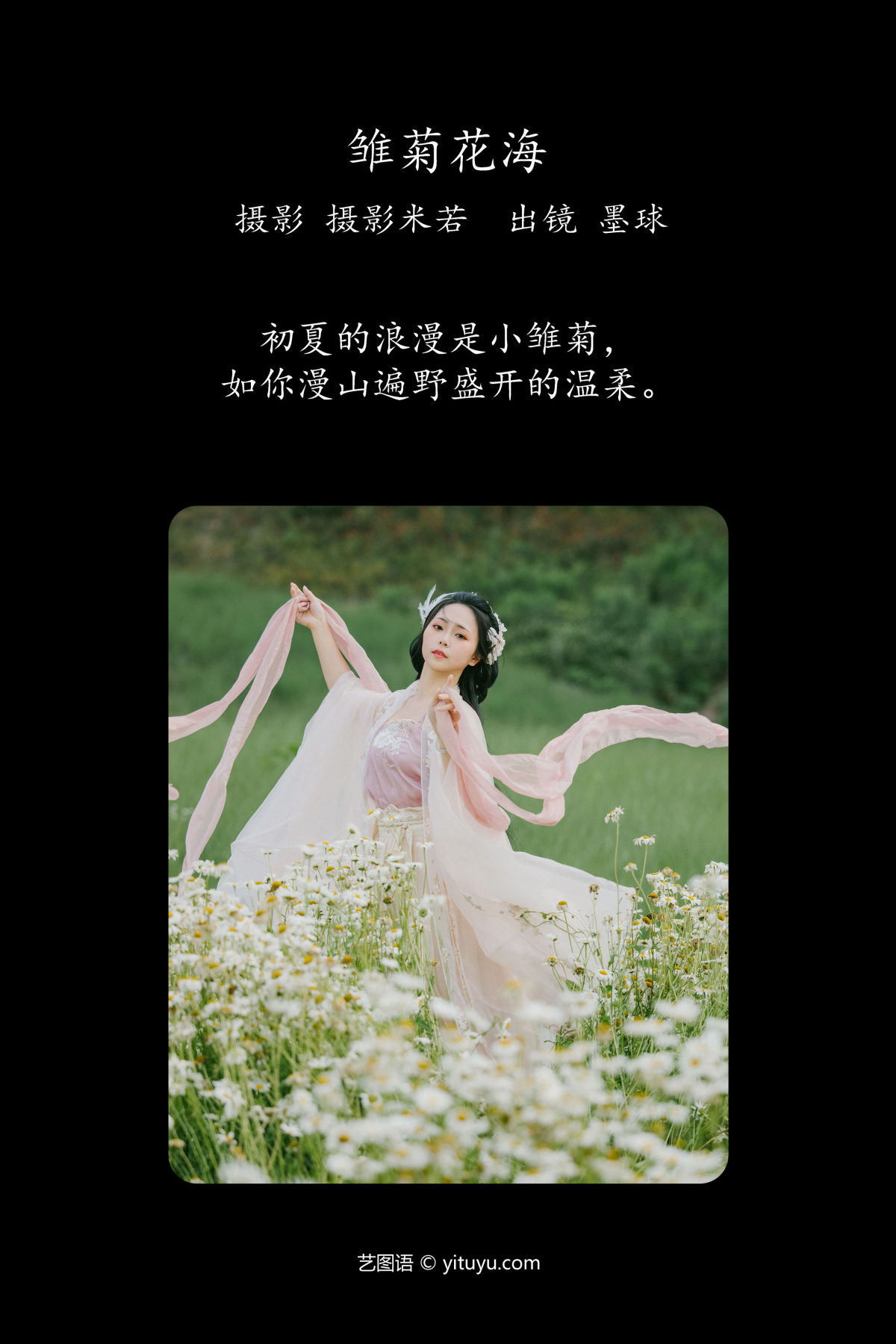 摄影米若_阡墨红尘《雏菊花海》美图作品图片2