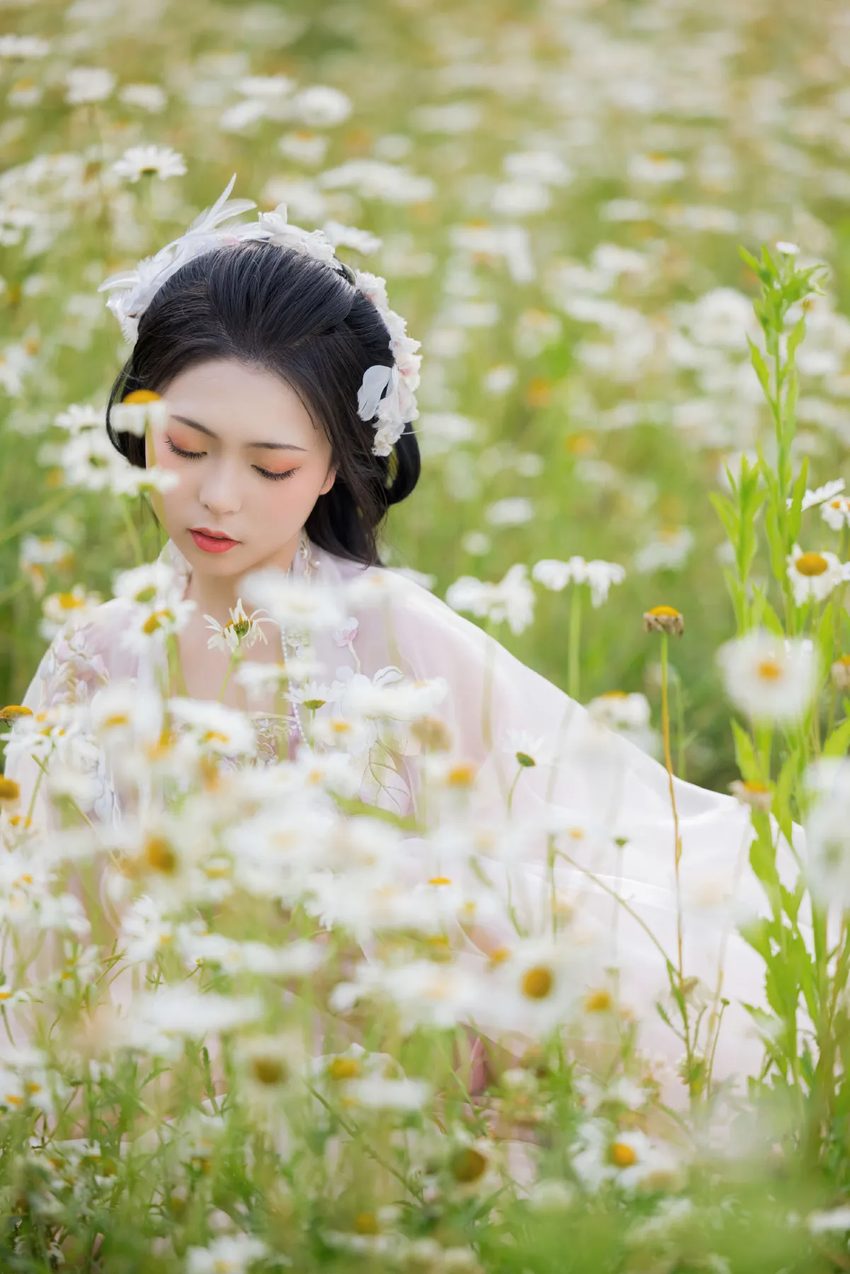 雏菊花海2
