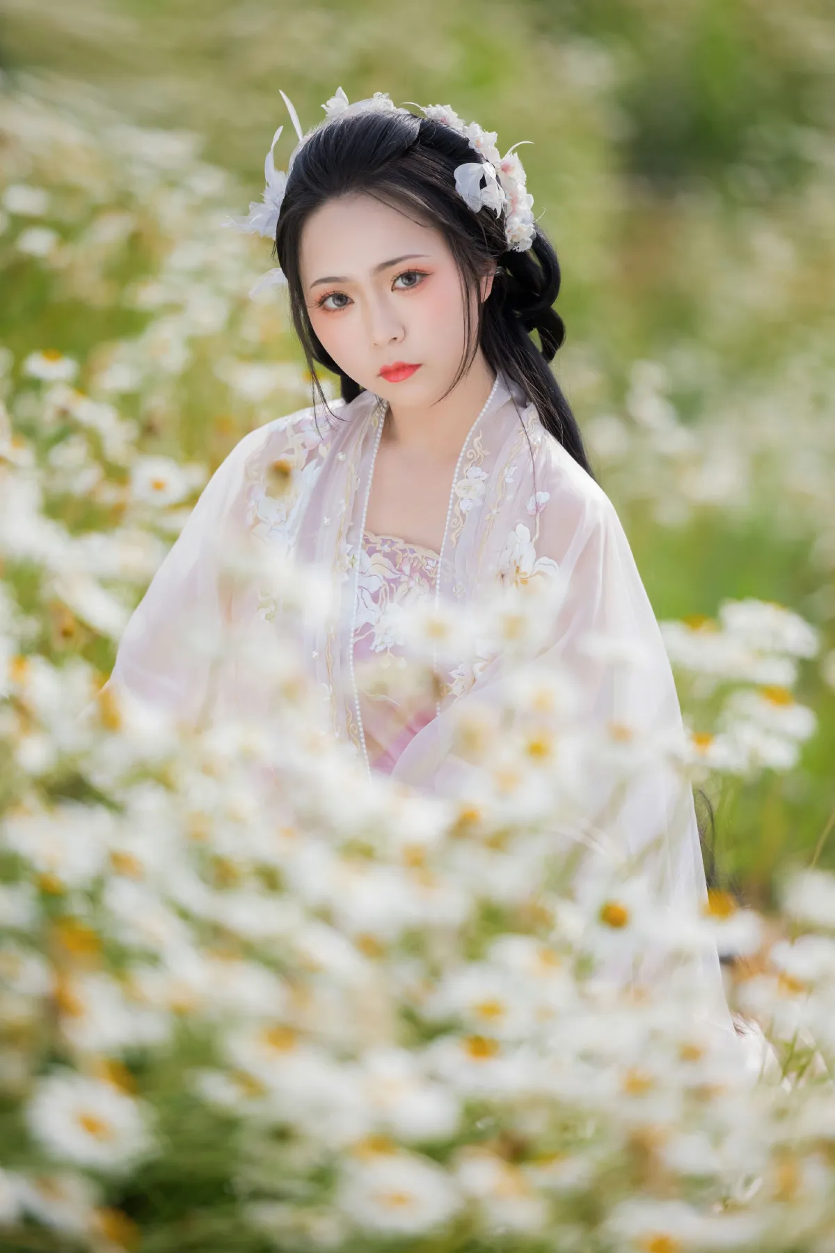 雏菊花海