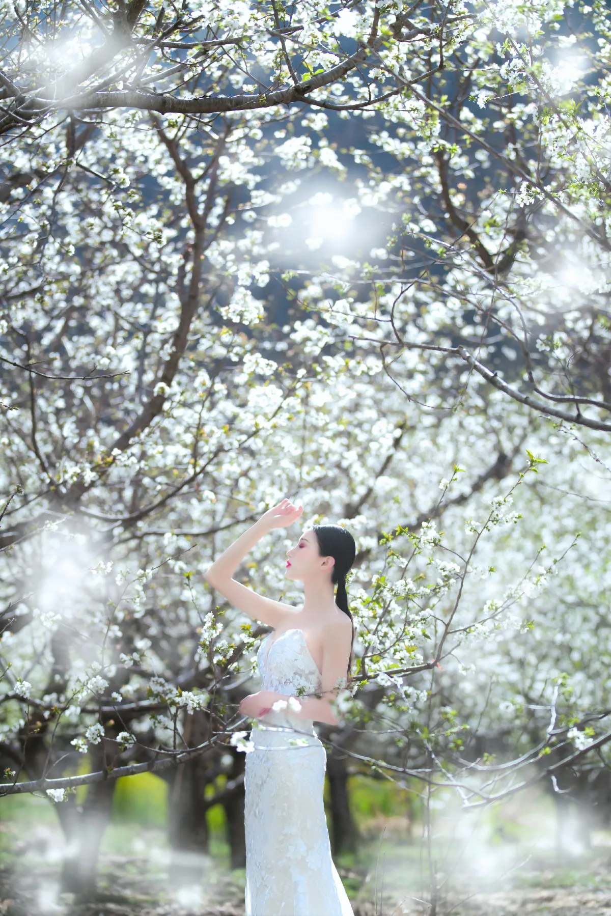 花季1