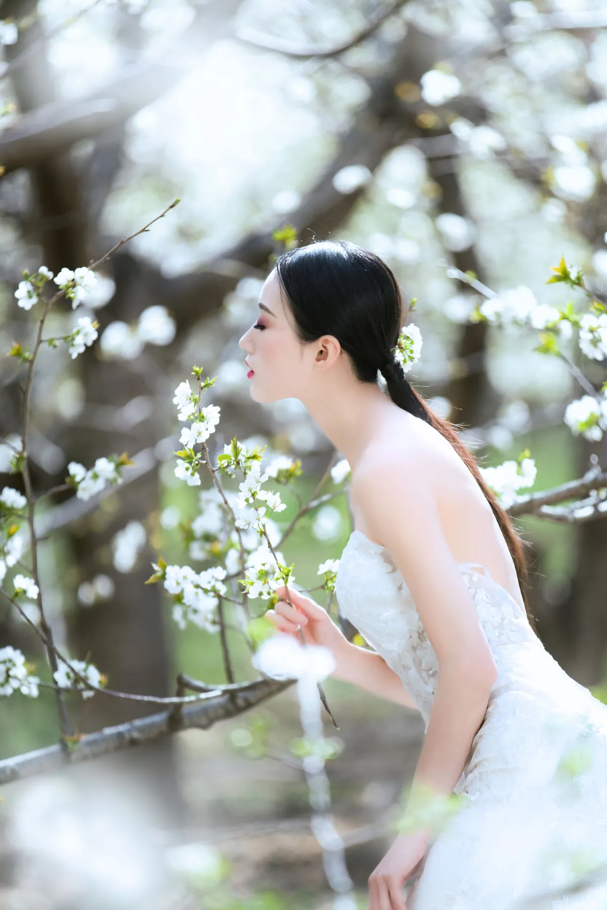 摄影师不可说_薇薇《花季》美图作品图片5