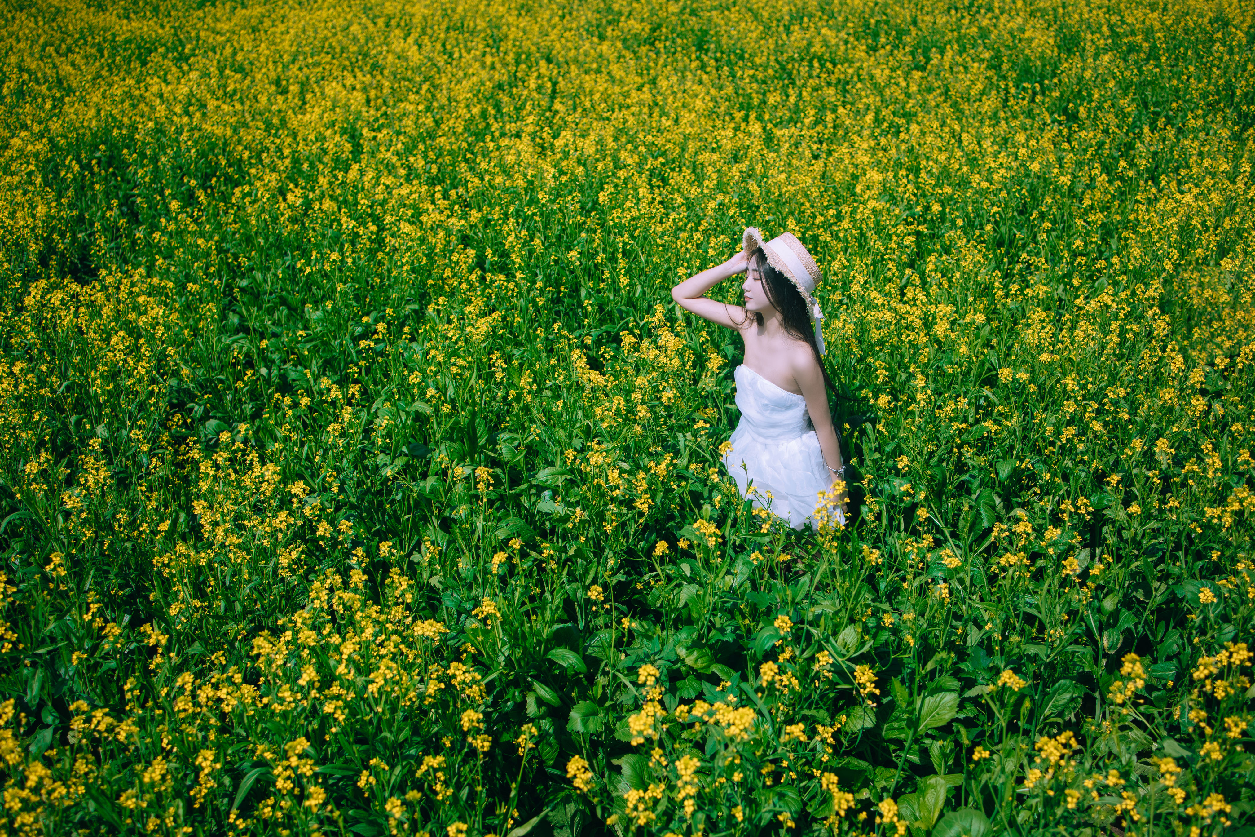 少女油菜花写真