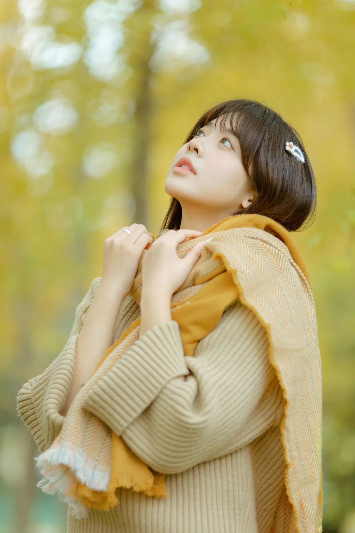 深秋2